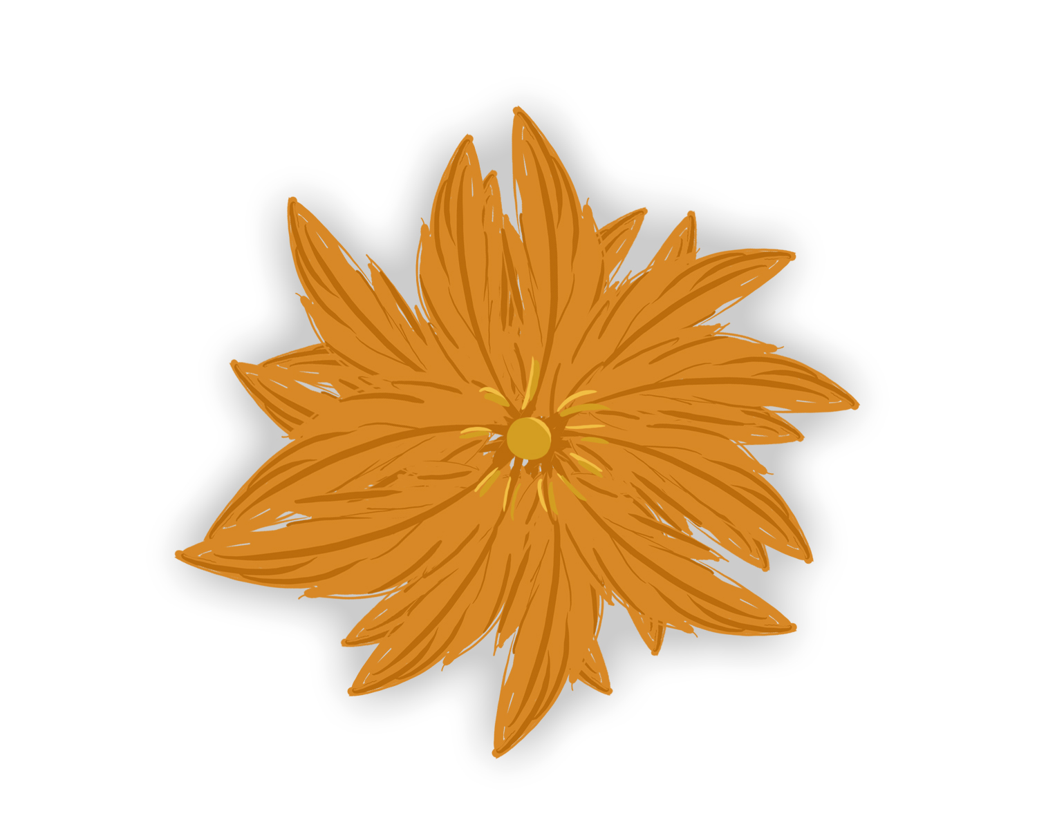 scrutiny clipart flower