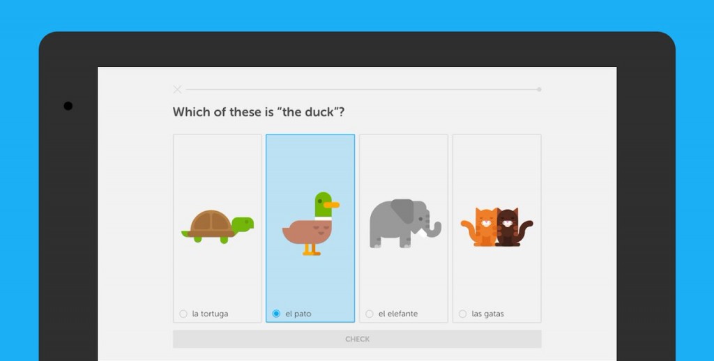 Duolingo vs. Memrise