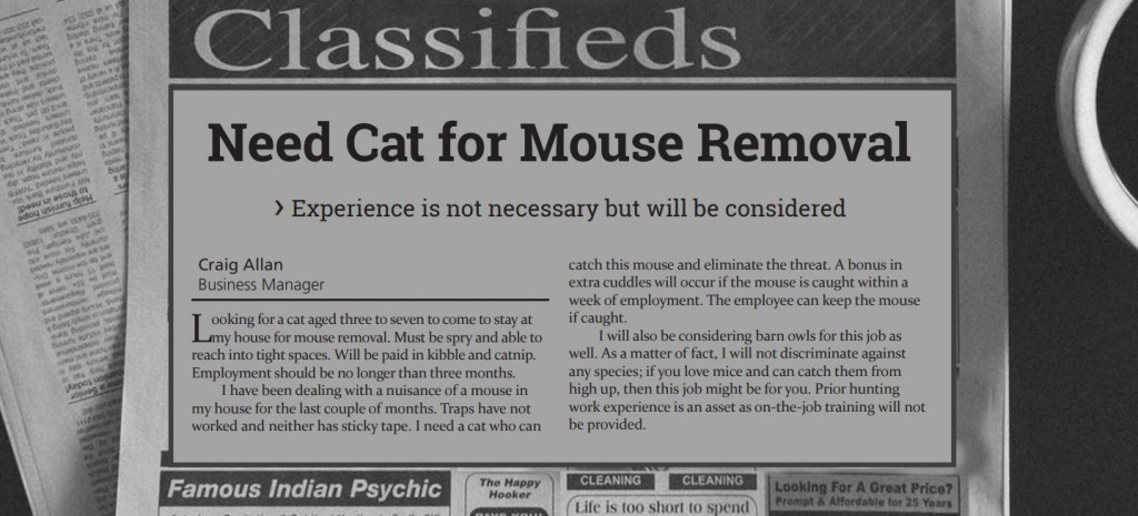 Wanted: Mouse killing cat